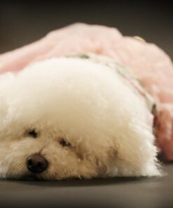 Savage Seamless Background Paper - #20 Black (53 in x 36 ft) 53 in x 36 ft 40 61j7StFeAGL