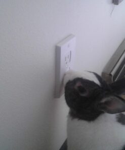 Jambini Self-Closing Outlet Covers - An Alternative To Socket Plugs - 3 pack 45 61jA38yUvwL