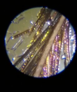 Educational Insights Nancy B's Science Club Microscope for Kids, Microscope Kit, Gift for Boys & Girls, Ages 8-12 45 61jAAeXemQL