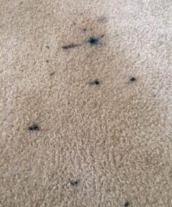 Blue Magic 900 Carpet Stain & Spot Lifter - 22 oz. Aerosol Can 41 61jDCv48Q2L