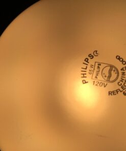 Philips BR30 Indoor Dimmable Flood Light Bulb, 620 Lumen, Soft White Light (2710K), 65-Watt, E26 Base, 12-Pack 12 Count (Pack of 1) 21 61jFthMHhIL