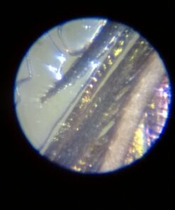 Educational Insights Nancy B's Science Club Microscope for Kids, Microscope Kit, Gift for Boys & Girls, Ages 8-12 46 61jSdf2F4lL