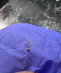 MedPride Powder-Free Nitrile Exam Gloves, Large, Large (Pack of 100) Large (Pack of 100) 31 61jT3Pz9f5L