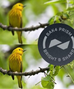 Bushnell H2O Waterproof/Fogproof Compact Roof Prism Binocular Black, 8x25mm 21 61jUZRmJf7L