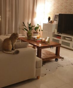 Reliable Hardware Company RH-0540BK-2-A Chest Handle, Black, 2 Count 25 61jYJyCBWL