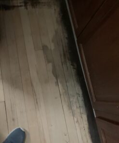 Savogran 10501 Wood Bleach, 12 oz,Black 50 61jhZeAZ7FL