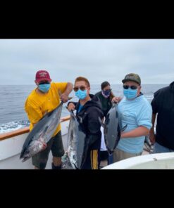 Seaguar Blue Label 100% Flourocarbon Fishing Line Leader, Freshwater, Multiple Sizes 60-Pounds/25-Yards 60lbs/25yds 26 61jiC uSHuL