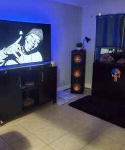 Klipsch R-12SW Powerful Deep Bass Front Firing 12" Copper-Spun Driver 400W Digital Power Subwoofer 14" X 18.5" X 16" 24 61jj1l dqaL