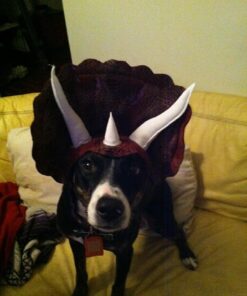 Animal Planet PET20104 Triceratops Dog Costume, Large 24 61jxLxd3XjL