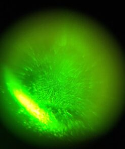 Fairhaven Health Fertile Focus Ovulation Test Kit - Women's Fertility Tracker and Predictor - 3 Days in Advance - Ovulation Kit - Accurate, Reusable Home Saliva Test - Results in Five Minutes 42 61kCGjJShPL