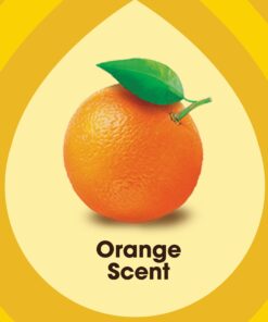 Pledge Wood Oil, Expert Care, Trigger, Orange Scent, 16 oz 16.00 Fl Oz (Pack of 1) 20 61kFkR5CNZL