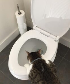 Delta Faucet Morgan Elongated Slow-Close White Toilet Seat with Non-Slip Seat Bumpers, White 811903-WH Slow Close 34 61kKCL0INSL