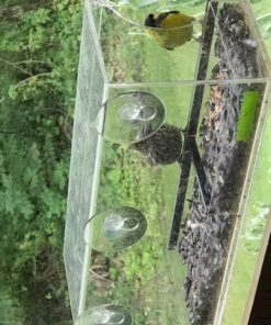 Yardly Noticed Window Bird Feeder with Removable Tray, Drain Holes, Extended Perch, 4 Suction Cups - Crystal Clear See Through Design 2017 - See Wild Birds Up Close, Great for Kids & Cats Large 29 61kLKgLjngL