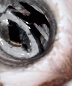 DEPSTECH Original Endoscope Case, Wireless Borescope Carrying Bag WiFi & USB Scope Cameras, Upgraded Large-Capacity Hardshell Case, Compatible with 4.3" Inspection Camera DS300, Black 33 61kN0mAlM4L