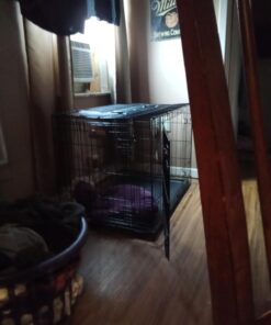 MidWest Homes for Pets Newly Enhanced Double Door iCrate Dog Crate, Includes Leak-Proof Pan, Floor Protecting Feet, Divider Panel & New Patented Features 36 inch (Pack of 1) 35 61kW9jOzGWL