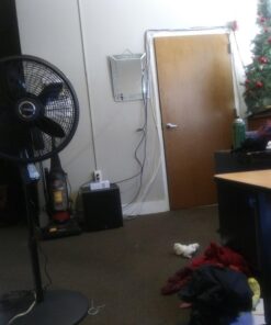 Amazon Basics 3.5mm to 2-Male RCA Adapter Audio Stereo Cable For Speaker, 8 Feet 1-Pack 37 61kXLbfOhL