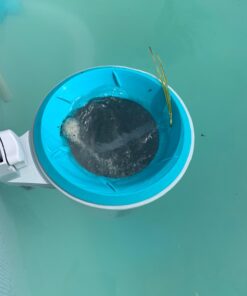 Intex Deluxe Wall-Mounted Swimming Pool Surface Automatic Skimmer | 28000E 1 30 61ka4T09KrL