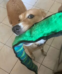 Outward Hound Durablez Tough Plush Squeaky Dog Toy, Snake, Blue, XL Blue Snake 47 61ka5ZqgRPL