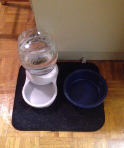 Petmate Replendish Automatic Gravity Waterer for Cats and Dogs, BPA-Free, No Batteries Required, Includes Charcoal Filter, 1 Gallon, Made in USA Silver 1 GAL 48 61kdHLlbE9L