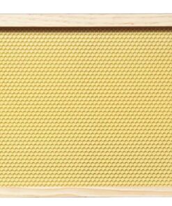 Alternative view of Mann Lake 10-pack Deep Assembled Wood Frames with Yellow Beeswax Coated Plastic Rite-Cell Foundation. 9-1/8 Inch