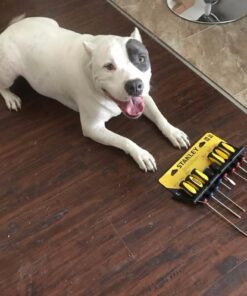 Stanley 60-100 10-Piece Standard Fluted Screwdriver Set 10 61ktjBADItL