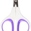 Shelina Whisker Wishes Veterinarian Grade Pet Clippers Purple 24 61l4b9bgXrL
