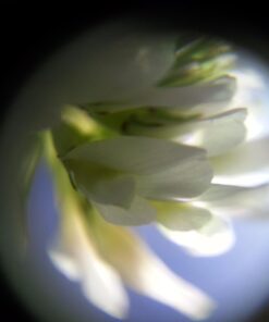 Ravensburger Science X Smartscope Science Kit 28 61l5IgznL