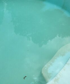 Natural Chemistry 07400 Stain Free Pool Stain Remover, 1-3/4 Pounds 58 61l9u2WyD6L