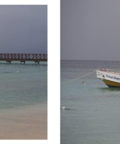 OM SYSTEM OLYMPUS M.Zuiko Digital 40-150mm F4.0-5.6 R Black For Micro Four Thirds System Camera, 3.75x Zoom Lens, Portable Design Standard Packaging 60 61lAfvBhvL