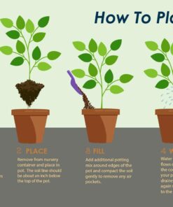 Brighter Blooms - Cold Hardy Avocado Tree, 1-2 Ft. - Indoor/Outdoor Potted Avocado Tree to Grow Your Own - No Shipping to AZ 1-2 ft. 16 61lEV6kOFOL