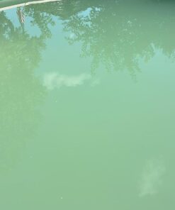 Clorox Pool&Spa Green Algae Eliminator2 32 oz 45 61lEuCwlUIL