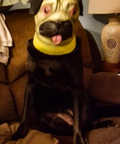 Miyaya@ Special New Latex Full Head Overhead Animal Cute, No Color, Size No Size 13 61lHtBoo9CL