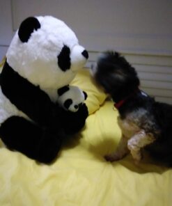 Mother and Baby Panda Plush Set | Super Soft Panda Stuffed Animal | Cute Plushies for Kids' Bedroom | 18-in Stuffed Animals for Girls & Boys | Panda Bear Stuffed Animal Toys by Exceptional Home 36 61lLbFfrtL