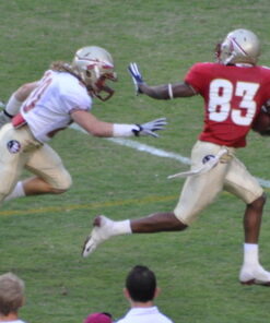 Nikon 70-300 mm f/4-5.6G Zoom Lens with Auto Focus for Nikon DSLR Cameras 35 61lNQI7WfWL