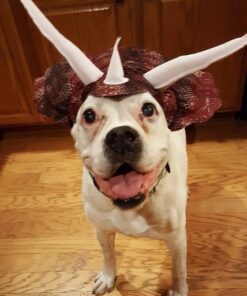 Animal Planet PET20104 Triceratops Dog Costume, Large 20 61lQQp7eOeL