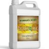 Humboldts Secret Golden Tree: Best Plant Food for Plants & Trees - All-in-One Concentrated Additive - Vegetables, Flowers, Fruits, Lawns, Roses, Tomatoes & More (64 Ounce) 64 Ounce 3 61lU8Vlra2L