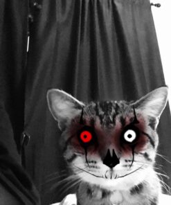 IAMS PROACTIVE HEALTH Healthy Kitten Dry Cat Food with Chicken Cat Kibble, 16 lb. Bag Dry Food 16.00 Pound (Pack of 1) 36 61lVWU wzIL