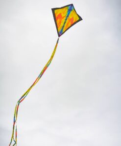In the Breeze Tie Dye Diamond Kite, 30-Inch 6 61lWTeDBD0L