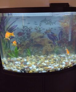 Tetra Whisper Power Filter for Aquariums, 3 Filters in 1, Up to 40-Gallons 36 61lYWXgUMUL