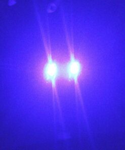 LED Safety Light (2 Pack) + Free Bonuses | Clip On Strobe/Running Lights for Runners, Dogs, Bike, Walking | The Best High Visibility Accessories for Your Reflective Gear, Bicycle etc Blue 26 61labp7gXUL