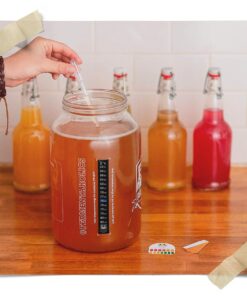 Jun Kombucha Starter Culture - USDA Certified Organic Jun SCOBY & Starter Tea - Makes 1 Gallon - Brewed with Organic Green Tea & Honey - Brew Jun Tea! 31 61leBzsf45L