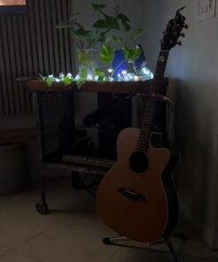 Impress Life Decorative String Lights, Sea Glass Festive Beach Themed 10 ft 40 LEDs Battery&USB Cord Operated Eco-Friendly with Multi-Function Remote for Tent Wedding Nursery Bedroom Party Ornament 36 61lppUfWkfL