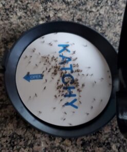 Katchy Automatic Indoor Insect Trap - Self-Activating Killer for Mosquitos, Gnats, Moths, Fruit Flies - Non-Zapper Traps for Inside Your Home - Catch Insects with Suction, Bug Light & Sticky Glue Black 36 61lqidSolyL