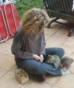 Wakefield Extra Large Virginia Peanuts for Animals, 25 LBS Peanut 25 Pound (Pack of 1) 35 61lxqZ7y0uL