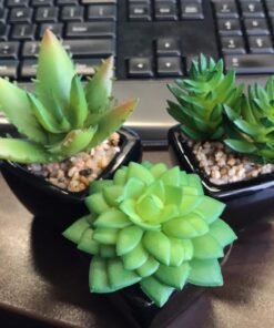 MyGift Set of 3 Faux Succulents in Mini Square Pots - Modern Home Decor Succulent Artificial Plants with Black Ceramic Planter Pot 35 61lzxPAJCcL