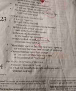 Amazon Basics Chisel Tip, Fluorescent Ink Highlighters, Assorted Colors - Pack of 12 12 Pack 50 61m3SvORQlL