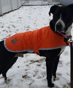 Zack & Zoey Nor'easter Blanket Coat for Dogs, 20" Large, Orange 1 L (Neck: 17", Girth: 28", Back: 20") 42 61m4TWoaJL 7
