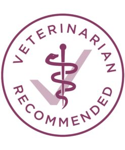 Purina ONE Plus Healthy Puppy Formula High Protein Natural Dry Puppy Food with added vitamins, minerals and nutrients - 8 lb. Bag Dry Food Chicken 8.00 Pound (Pack of 1) 23 61m4h2OHFL