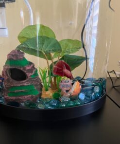 Tetra ColorFusion Starter aquarium Kit 3 Gallons, Half-Moon Shape, With Bubbler And Color-Changing Light Disc 46 61mNHTQgUL