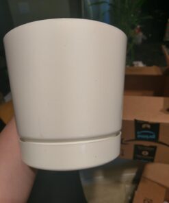 Novelty Majestic Full Depth Round Cylinder Pot, Glossy White, 6-Inch (10062) 33 61maLE4l8L